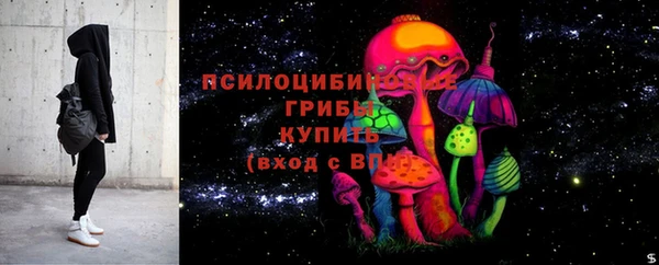spice Аркадак