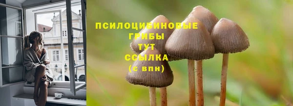 spice Аркадак