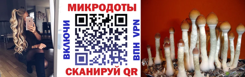 Псилоцибиновые грибы Magic Shrooms  закладки  Ряжск 